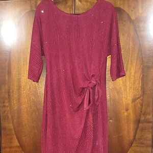 Maroon with Glitter Dress